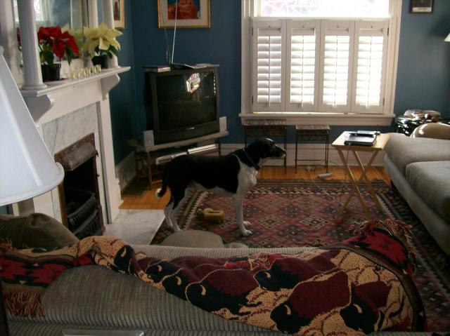 3 Sacha Living Room - 101_0474