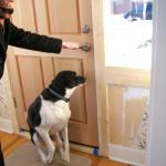 4 Sacha Door - 101_0478