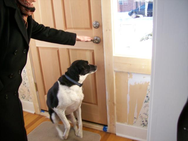 4 Sacha Door - 101_0478