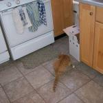 4 Simon Kitchen - 101_0476