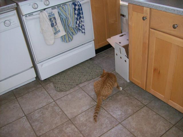 4 Simon Kitchen - 101_0476