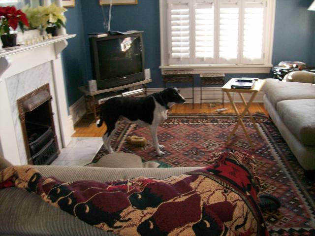 5 Sacha Living Room - 101_0473
