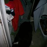 6 Sacha Closet - 101_0468