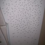 3 Bottom Right - 101_0646