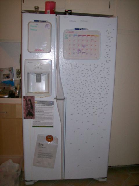 3 Fridge - 101_0636