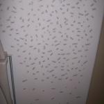 4 Bottom Right - 101_0645