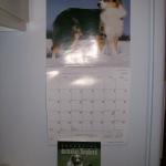 4 Fridge Side - 101_0630