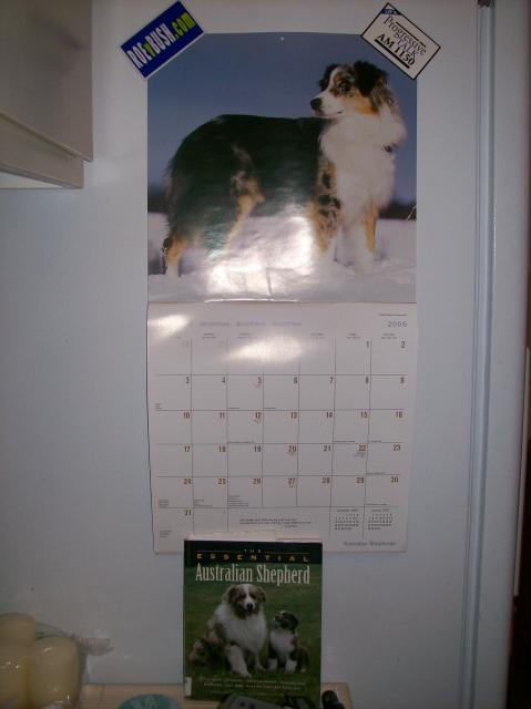 4 Fridge Side - 101_0630