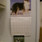 4 Fridge Side - 101_0631