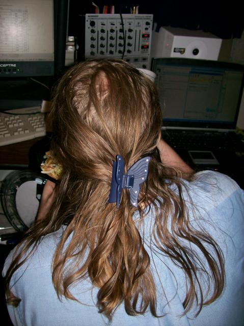 3 Butterfly In Sheer's Hair - 100_0811