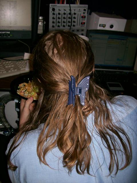 3 Butterfly In Sheer's Hair - 100_0812