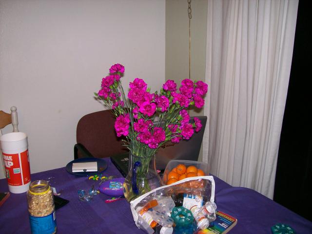 3 New Flowers - 100_0799