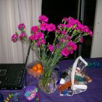 3 New Flowers - 100_0801