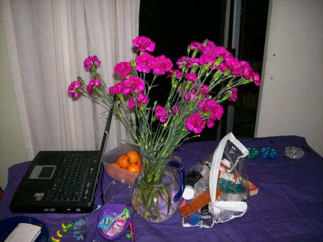 3 New Flowers - 100_0801