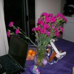4 New Flowers - 100_0802