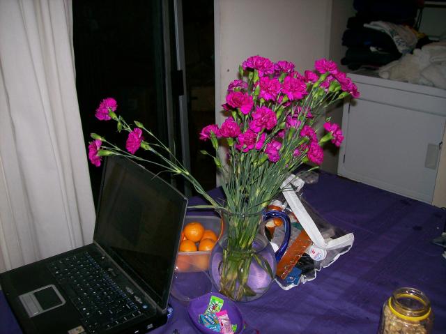 4 New Flowers - 100_0802