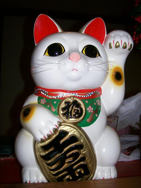 2 Fuji-Kan Cat - 100_0854
