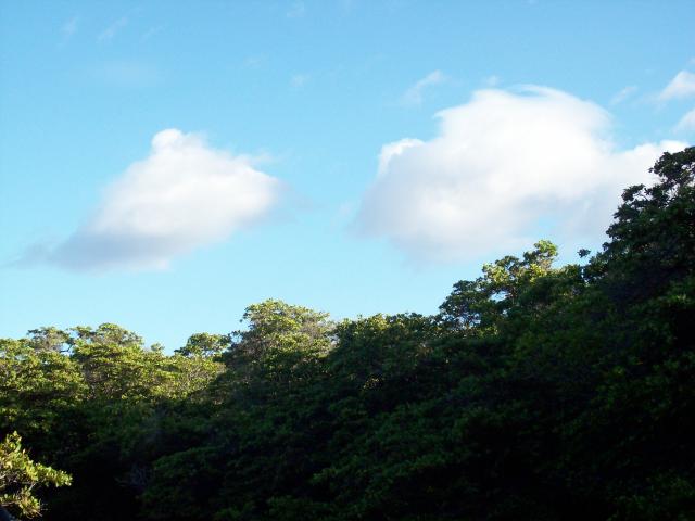 100_1120