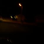 5 Fox - 100_0908