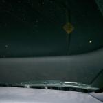 6 Fox - 100_0904