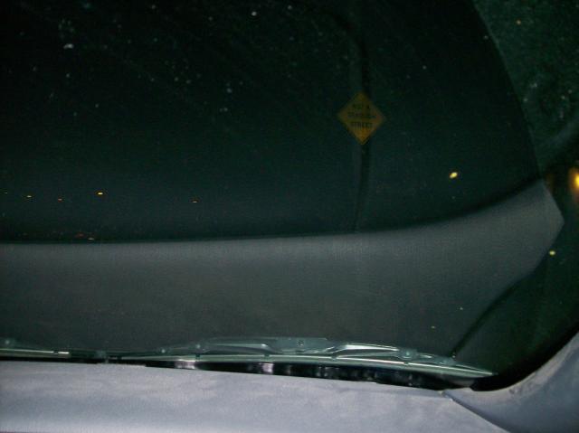 6 Fox - 100_0904