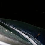 6 Fox - 100_0905