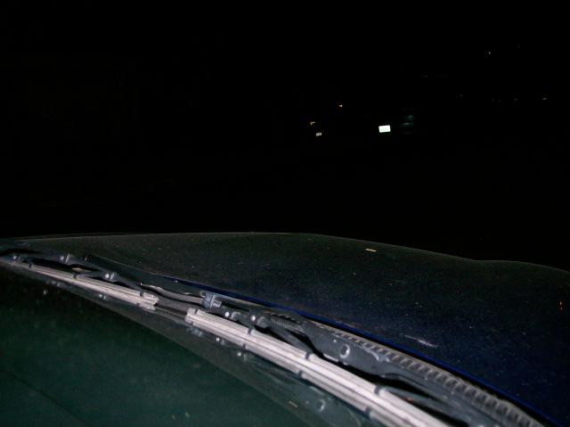 6 Fox - 100_0906