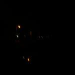 6 Fox - 100_0909