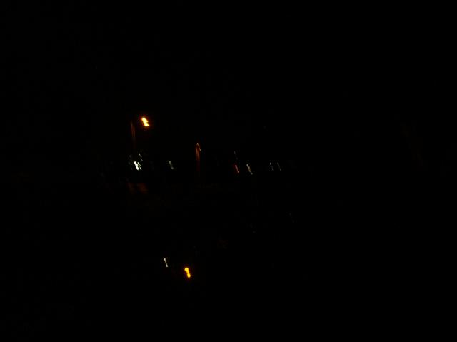 6 Fox - 100_0909