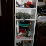 3u Shelves - 100_1025