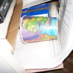 4s Lizard Cup - 100_1081