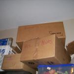 4s Peanuts - 100_1023