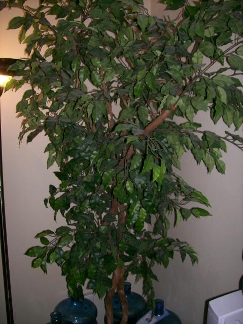 3u Fake Tree - 100_1114