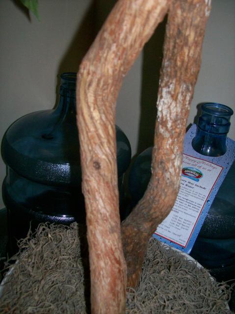 4u Fake Tree Bark - 100_1117