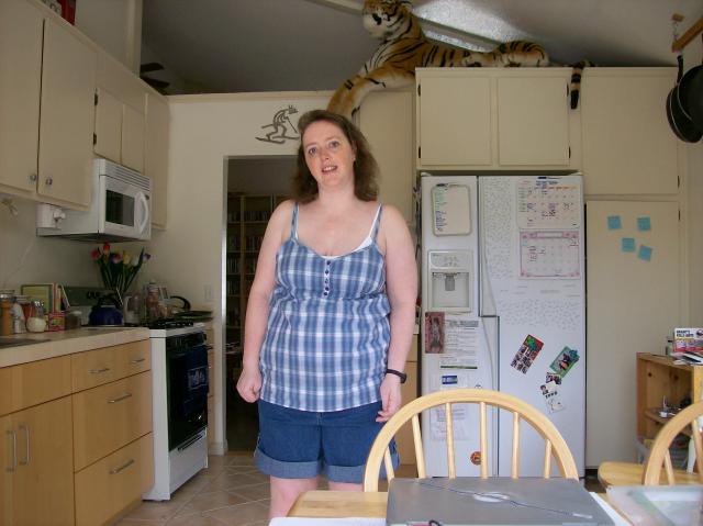 3s Plaid Cami - 100_1145