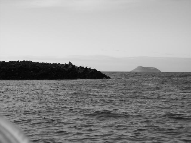 100_1154