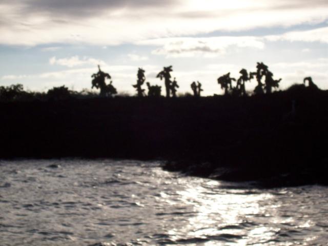 100_1160