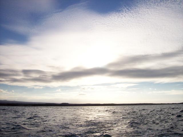 100_1163