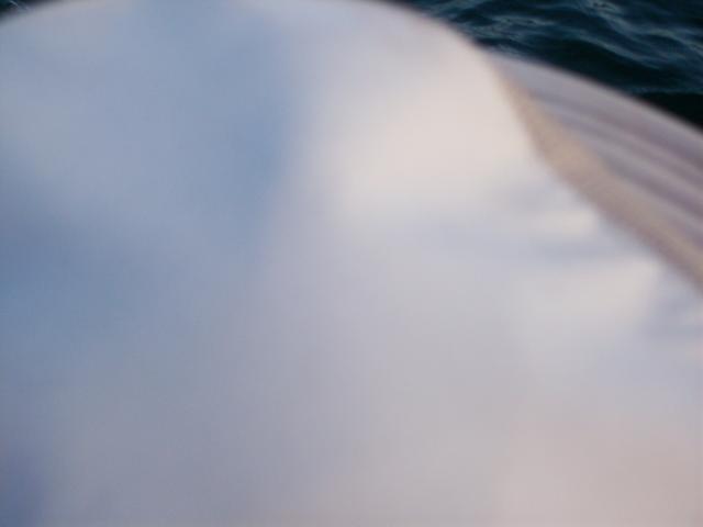 100_1170
