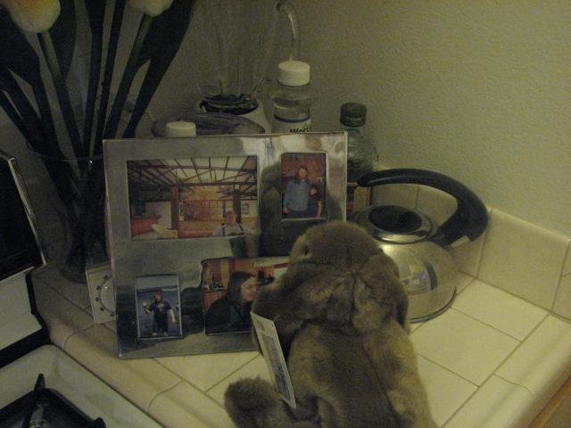 Bunny looks at a photo of new home