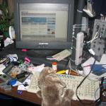 At the USPS web site, bunny prepares a mailing label