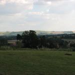 IMG_0532