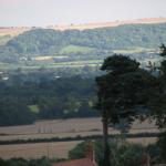 IMG_0533