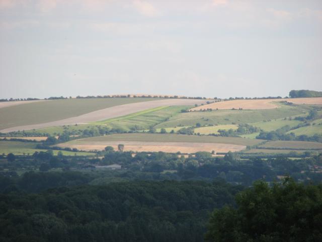 IMG_0536