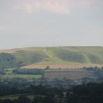 IMG_0537