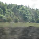IMG_0552