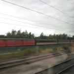 IMG_0631