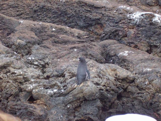 100_0332