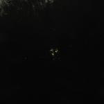 IMG_0669
