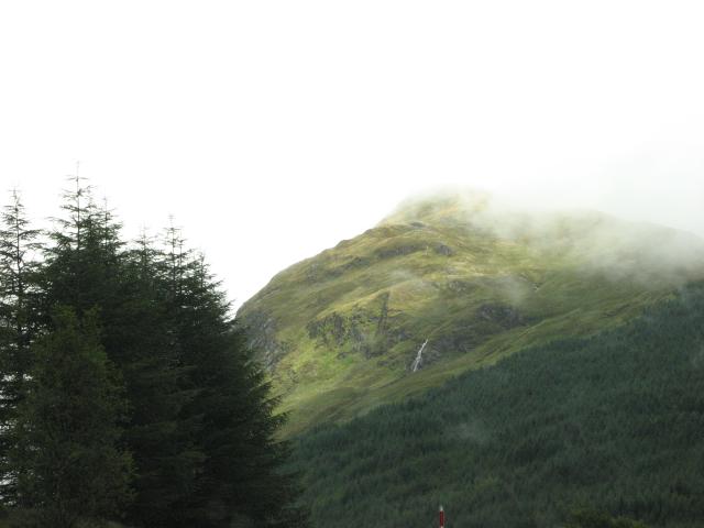 IMG_0769